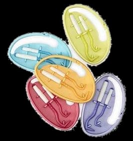 Zeckenhaken - O’TOM / TICK TWISTER® Clipbox